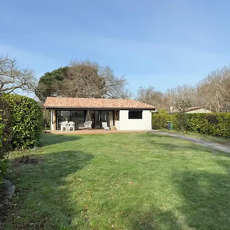 Petite Girolle * Carcans