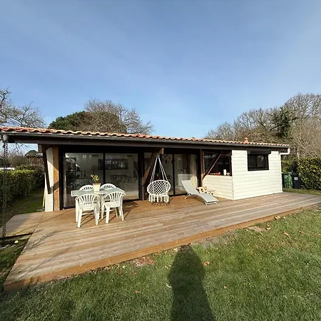 Petite Girolle * Carcans