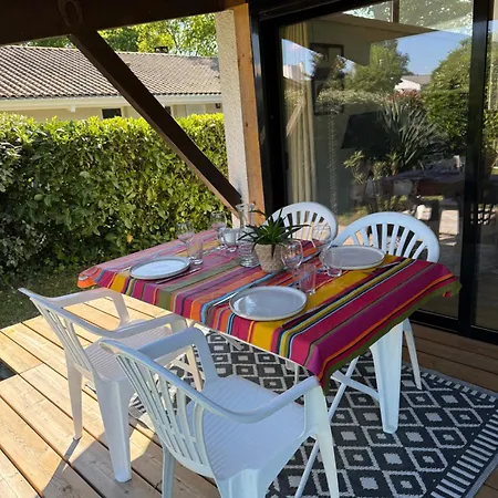 Petite Girolle Carcans