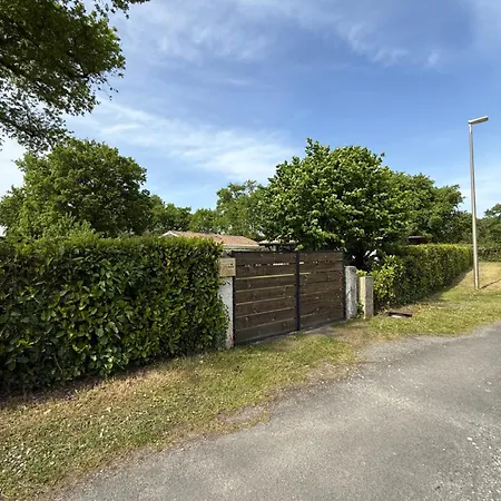 Petite Girolle * Carcans