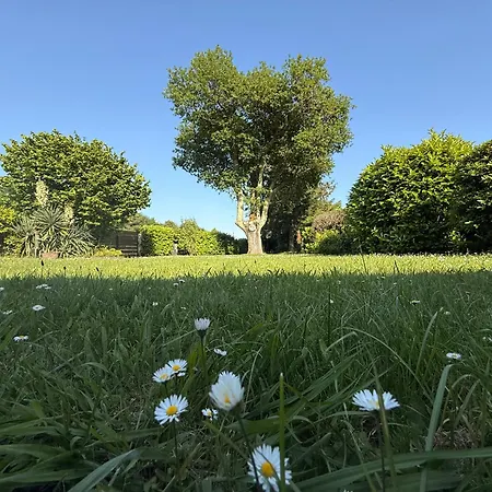 Semesterbostad Petite Girolle