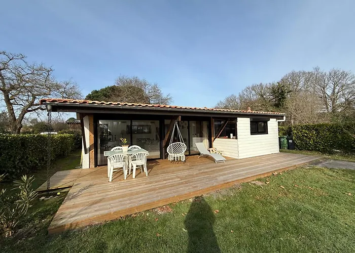 Petite Girolle * קרקן