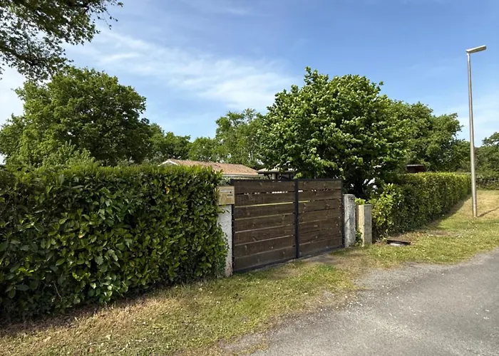 Petite Girolle * קרקן